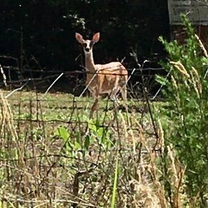 Meet your Posher, Donna